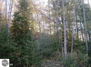 0 SW Ingersoll Rd, Fife Lake, MI 49633