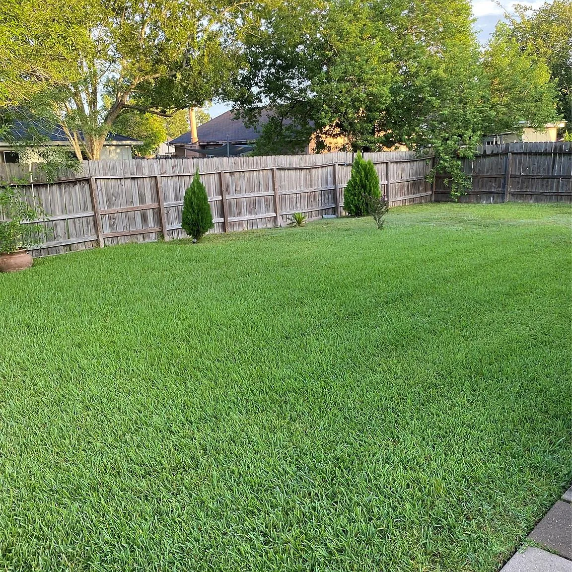 3 bed, 1039 sqft, $1,800 — Photo 2