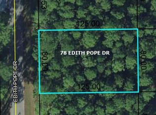 78 Edith Pope Dr, Palm Coast, FL 32164