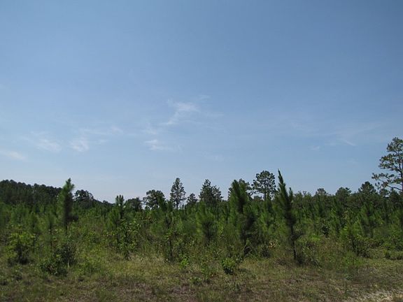 4th image of Vacant Lower Rebecca Road
