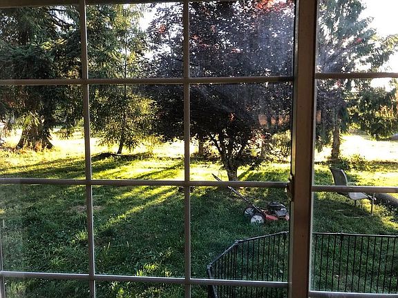 Looking out front window