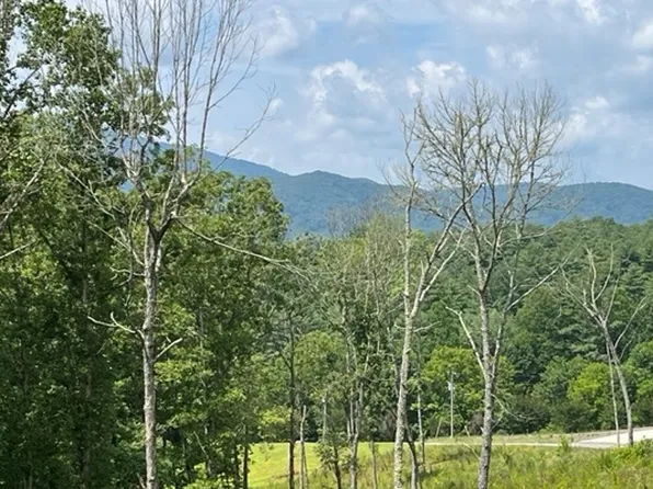 33AC Nottaway Rd, Young Harris, GA 30582