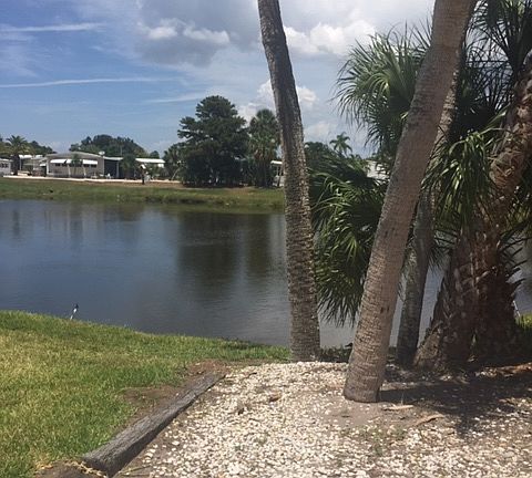 Side Pond View