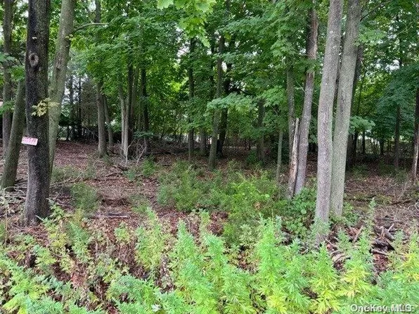 152 Duryea Street, Riverhead, NY 11901