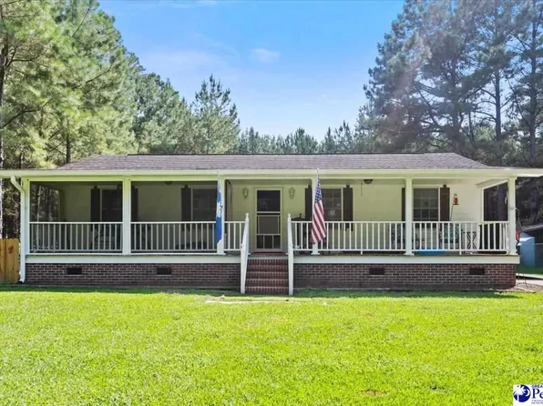 4448 Charlie Cade Rd, Effingham, SC 29541