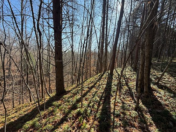 View along the edge of the flat building sites looking off into the ravine
