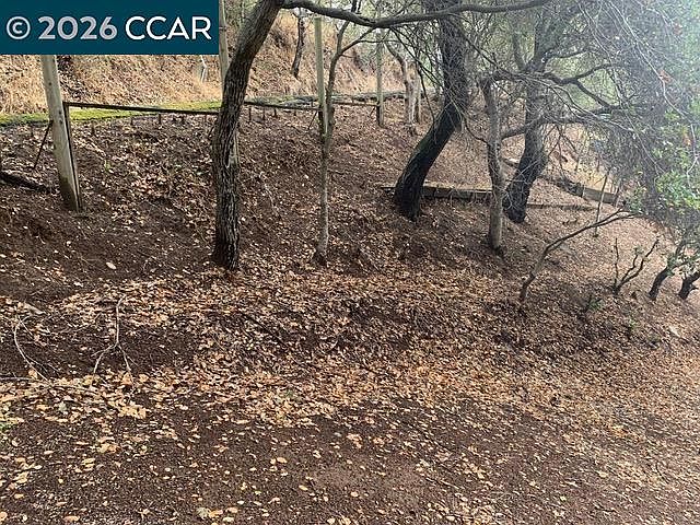 2nd image of Mountain View Ave