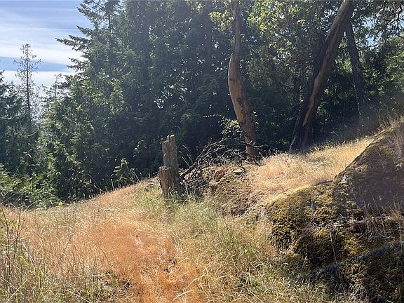 2nd image of LOT 38 Pirates Rd