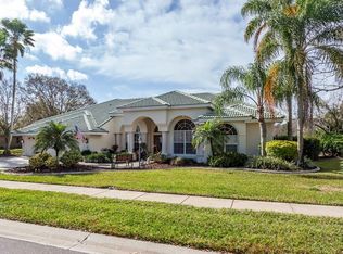 3798 Executive Dr, Palm Harbor, FL 34685