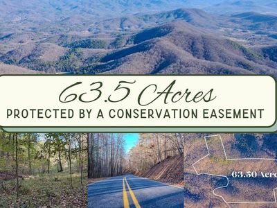40 Little Foxglove Ln, Brasstown, NC, 28902