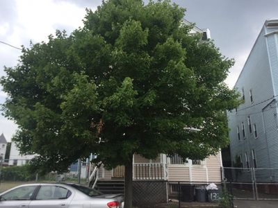 136 S 11th St, Newark, NJ, 07103