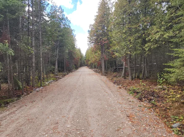 NULLD E Pontchartrain Trl, Hessel, MI 49745