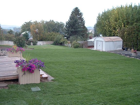 Backyard after sprinklers and sod put in, Oct. 2006.