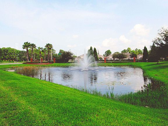 View of the Lake