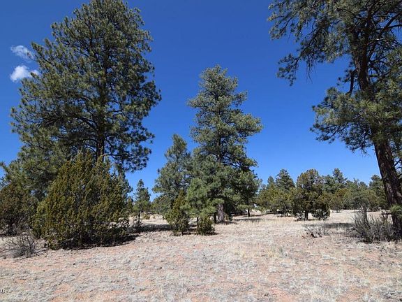 5th image of 2971 Arrowhead Dr