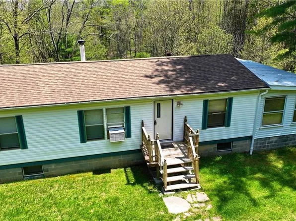 480 Buckley Hill Rd, Afton, NY 13730