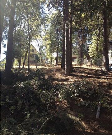 4th image of 26373 Lake Forest Dr