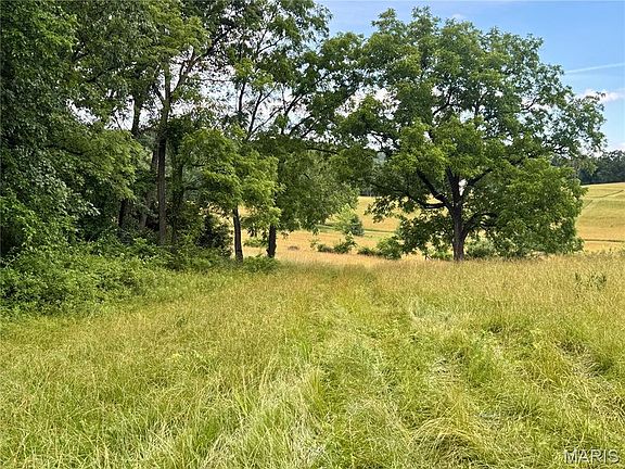 4th image of 13628 Thornberry Rd
