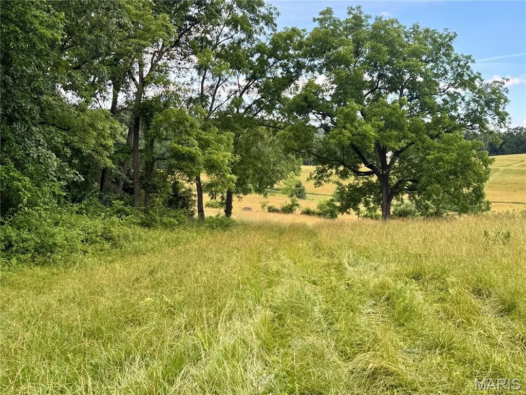 13628 Thornberry Rd, New London, MO - View 4