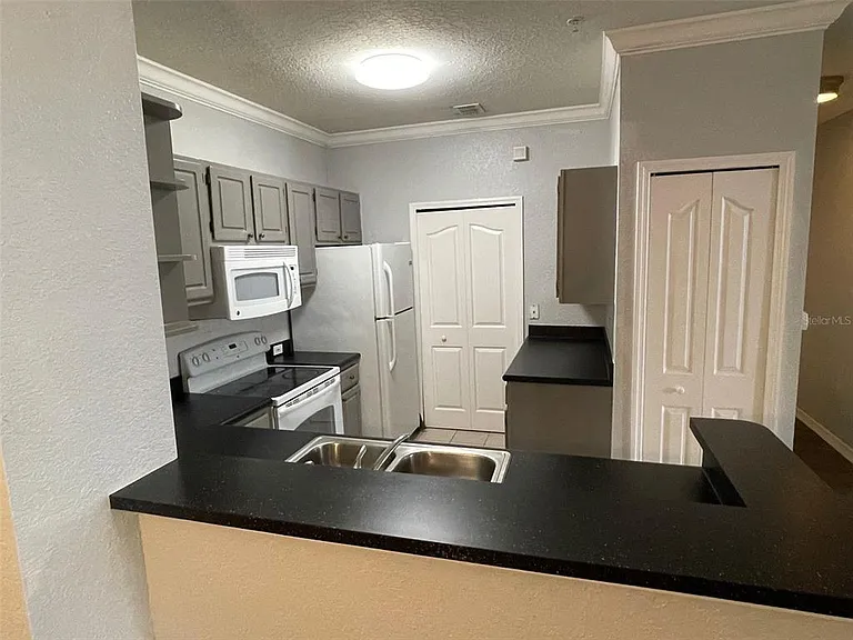 2537 Maitland Crossing Way #12101 — Photo 6