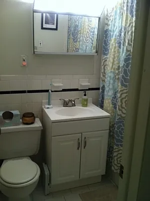 Rented by Citi Habitats | media 16