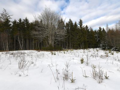 12 Lindsay's Road, Deer Isle, ME, 04627