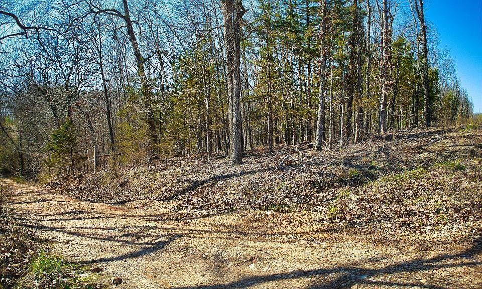 239 Dogwood Hills Ln, Leasburg, MO 65535 Zillow