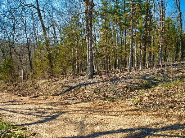 239 Dogwood Hills Ln, Leasburg, MO 65535