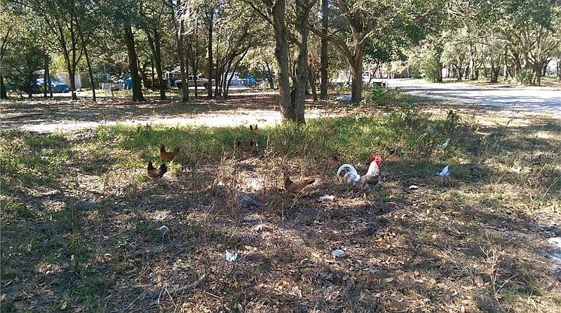2nd image of 1507 E 139th Ave