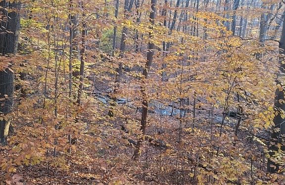 2nd image of 20 Wishing Well Rd