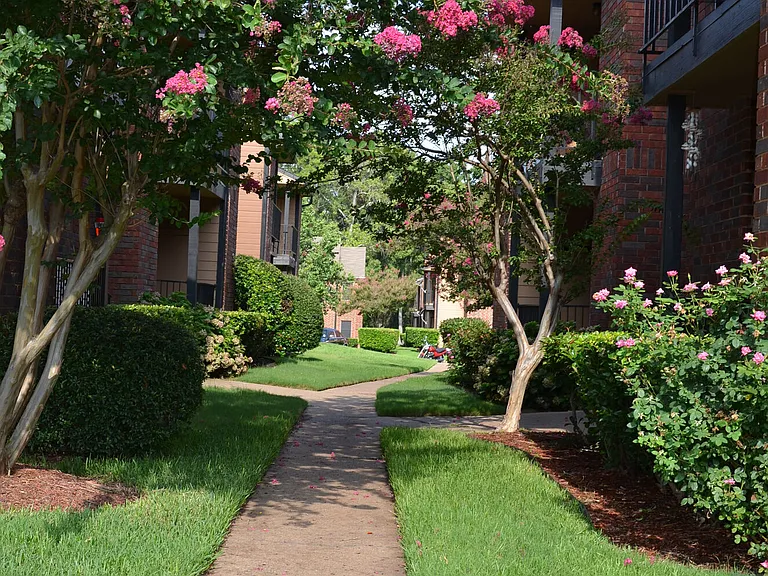Tanglewood Place — Photo 7