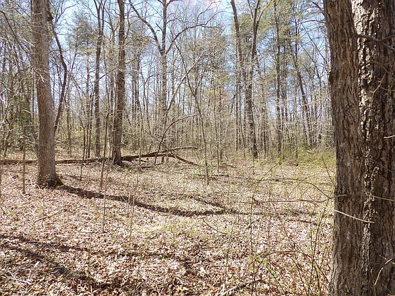 4th image of 76 Pine Rd #19