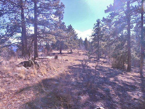 2nd image of 4 Half Peak Trail