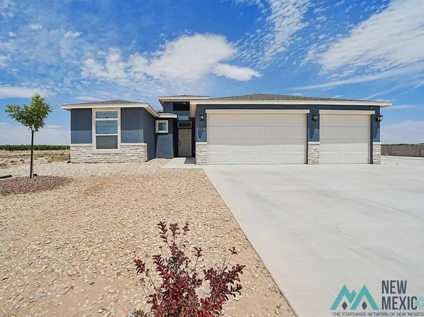 3720 N Pat Garrett Rd, Carlsbad, NM 88220