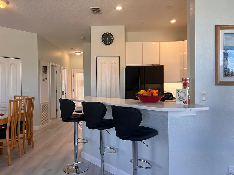 1316 Gondola Park Dr — Photo 13