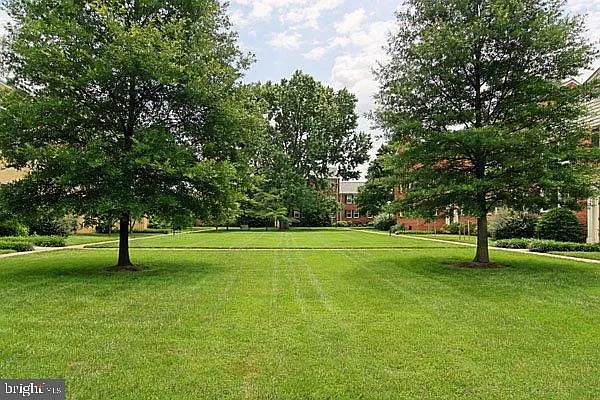 1803 Belle View Blvd #A1 — Photo 29