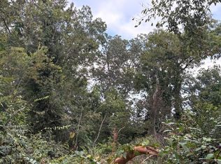 248 Buena Vista Dr, Chattanooga, TN 37404