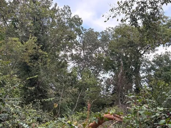 248 Buena Vista Dr, Chattanooga, TN 37404