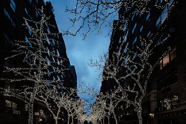 Sold by Brown Harris Stevens | media 19