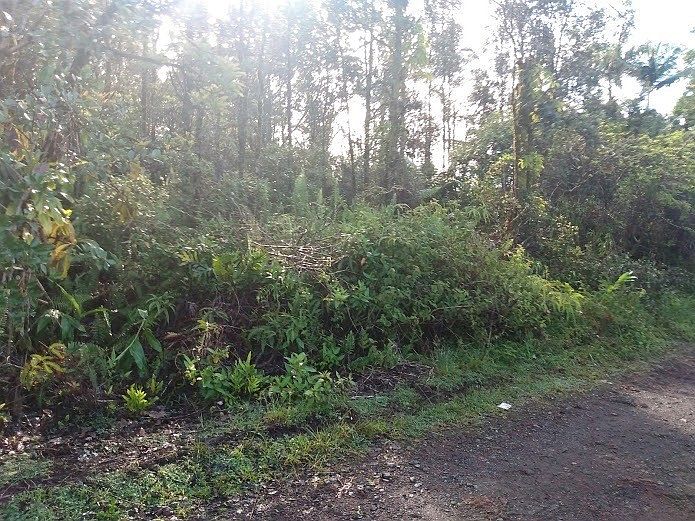 1st image of Paradise Cir Lot 13