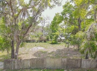 County Road 487 LOT 5, Lake Panasoffkee, FL 33538