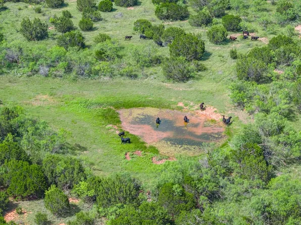 2 County Road 205, Ovalo, TX 79541