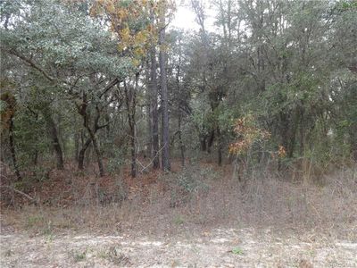 0 SE 123rd Ave, Dunnellon, FL, 34431