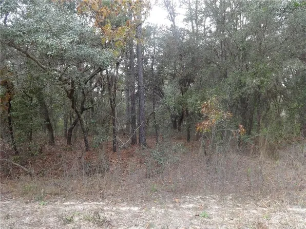 0 SE 123rd Ave, Dunnellon, FL 34431