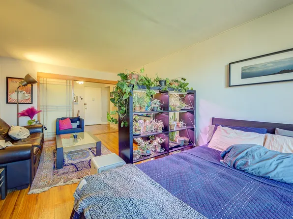 66-01 Burns Street image 17 of 28