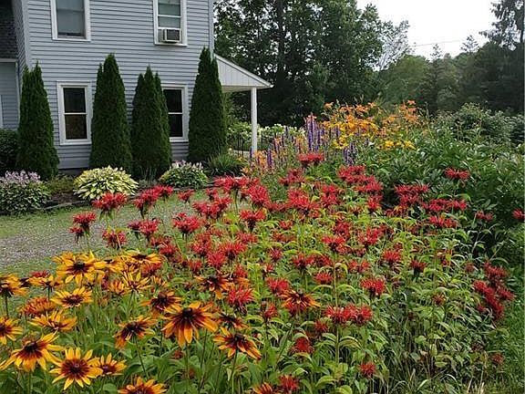 2nd image of 1677 County Road 17