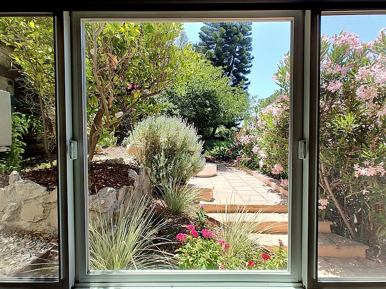 View to backyard from bedroom