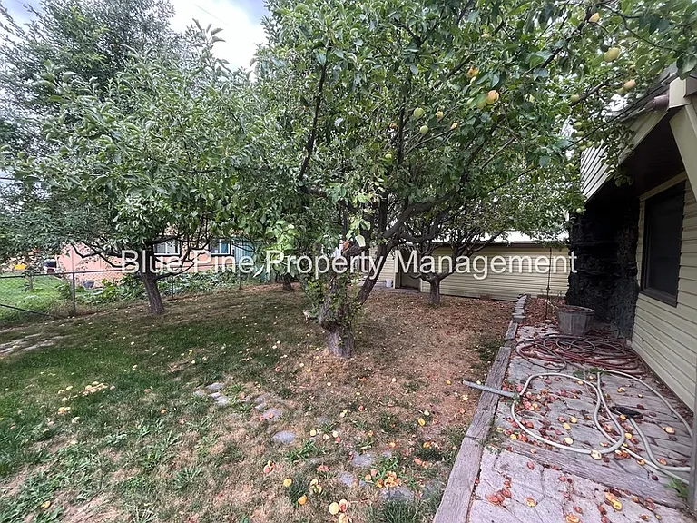 1080 Halsey St — Photo 14