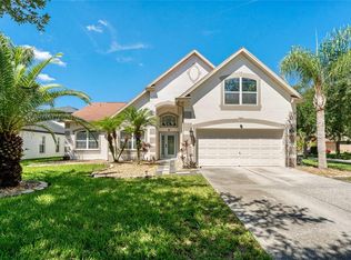 19206 Ivy Oak Way, Tampa, FL 33647