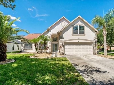 19206 Ivy Oak Way, Tampa, FL, 33647